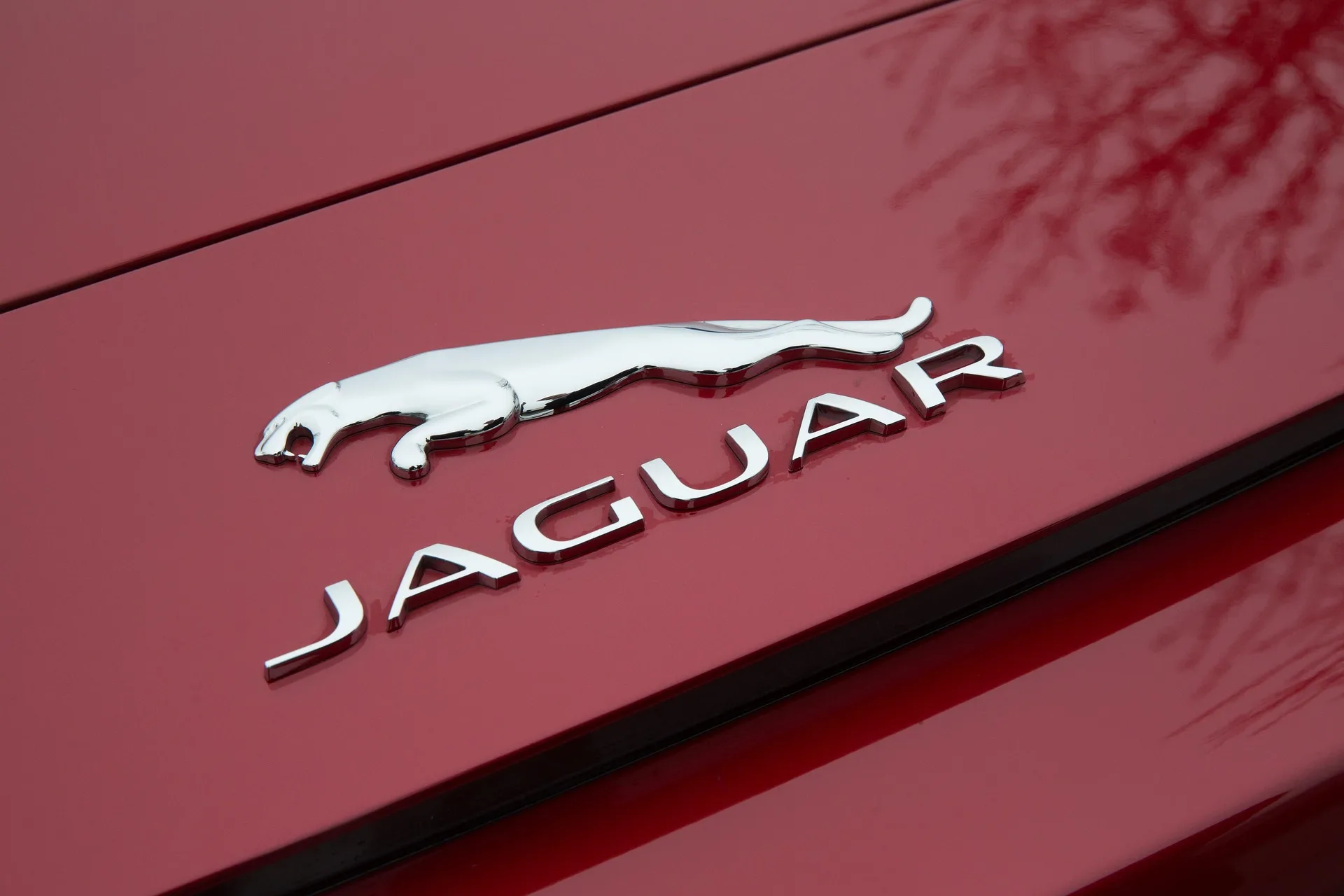 Jaguar F-Pace z USA na EU – konwersja świateł i systemów