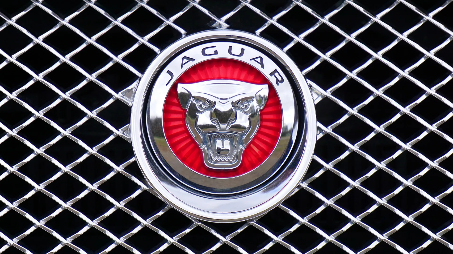Jaguar F-Pace — 1000030151